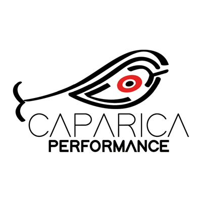 CAPARICA Performance